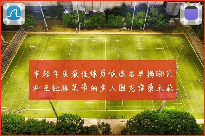 中超年度最佳球员候选名单揭晓瓦科王钰栋莱昂纳多入围克雷桑未获提名