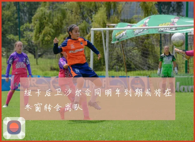 纽卡后卫沙尔合同明年到期或将在冬窗转会离队